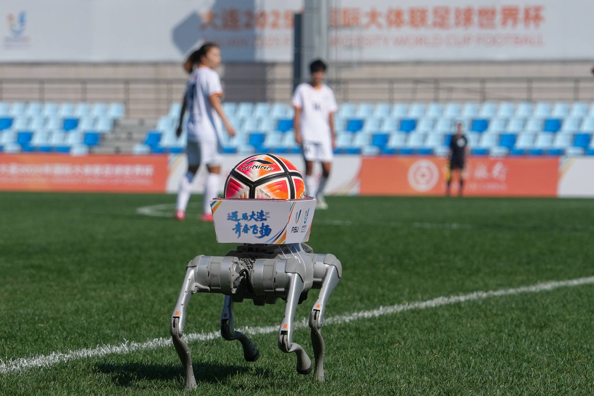 新华社记者, 祝进球 新华社记者, 祝进球