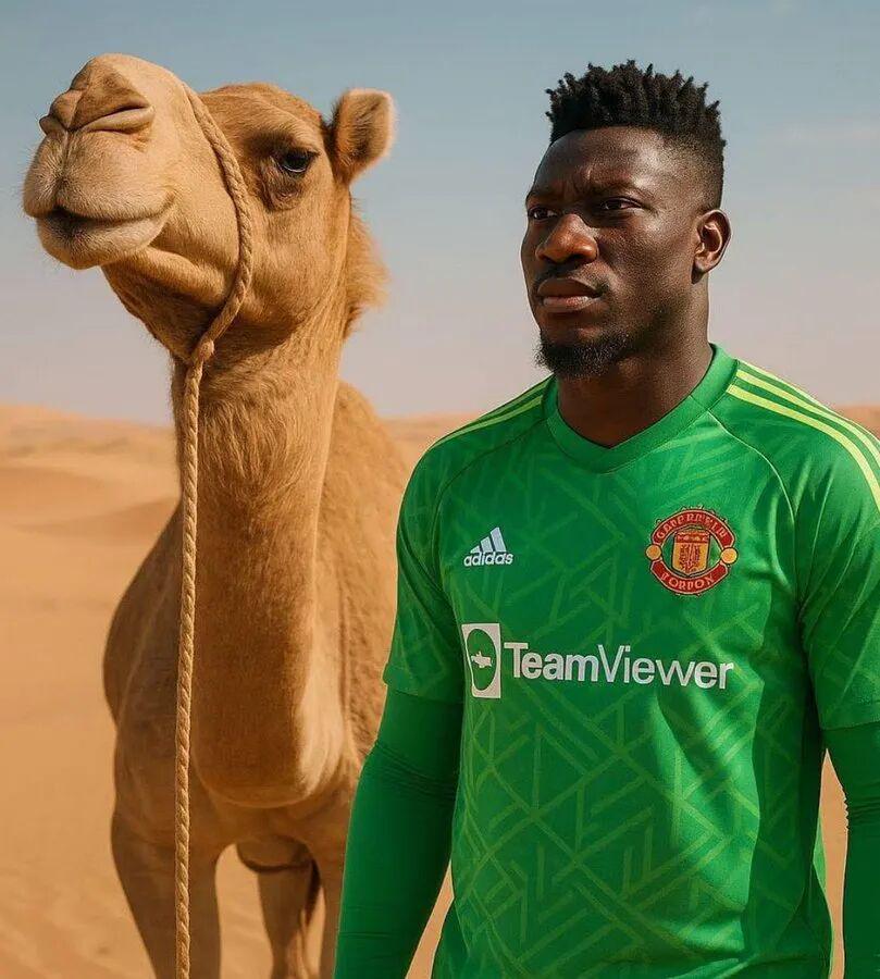 的一个, 相处得很好 的一个, 相处得很好